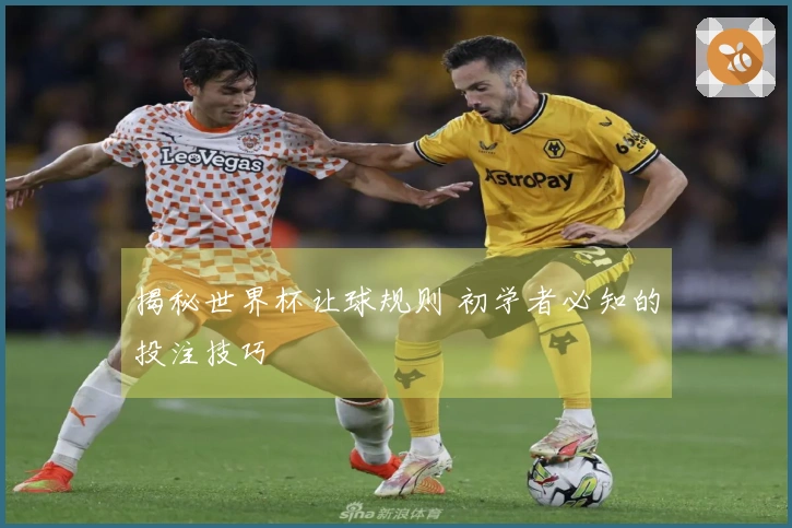 揭秘世界杯让球规则 初学者必知的投注技巧