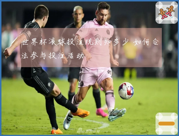 世界杯滚球投注规则知多少 如何合法参与投注活动